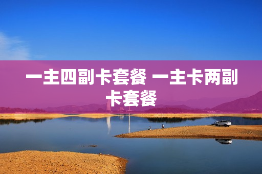 一主四副卡套餐 一主卡两副卡套餐