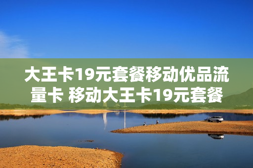 大王卡19元套餐移动优品流量卡 移动大王卡19元套餐定向流量