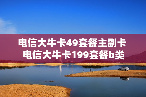 电信大牛卡49套餐主副卡 电信大牛卡199套餐b类