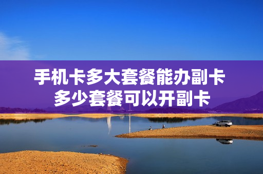 手机卡多大套餐能办副卡 多少套餐可以开副卡