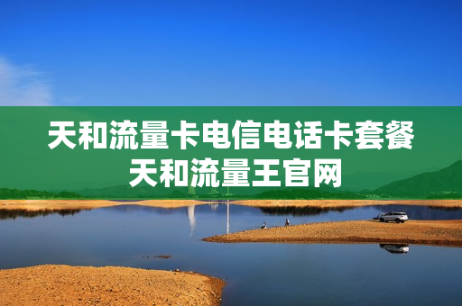 天和流量卡电信电话卡套餐 天和流量王官网