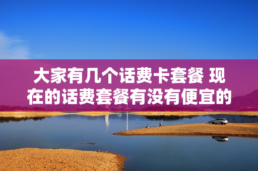 大家有几个话费卡套餐 现在的话费套餐有没有便宜的?