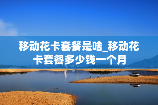 移动花卡套餐是啥_移动花卡套餐多少钱一个月