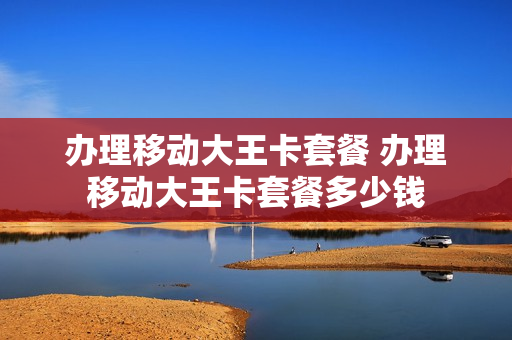 办理移动大王卡套餐 办理移动大王卡套餐多少钱