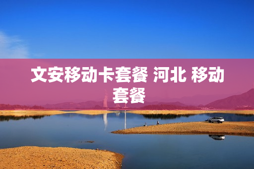 文安移动卡套餐 河北 移动 套餐