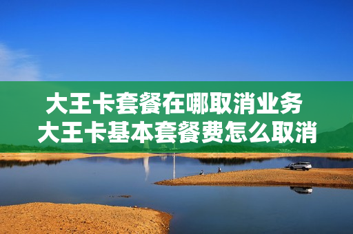 大王卡套餐在哪取消业务 大王卡基本套餐费怎么取消