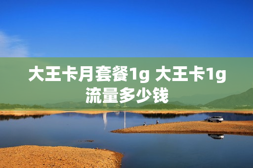 大王卡月套餐1g 大王卡1g流量多少钱