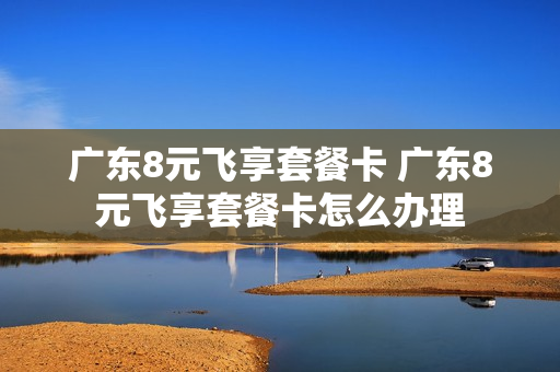 广东8元飞享套餐卡 广东8元飞享套餐卡怎么办理