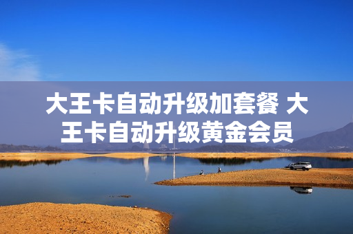 大王卡自动升级加套餐 大王卡自动升级黄金会员