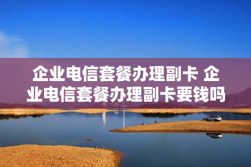 企业电信套餐办理副卡 企业电信套餐办理副卡要钱吗