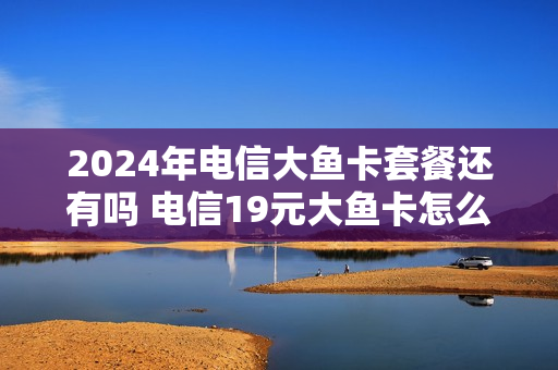 2024年电信大鱼卡套餐还有吗 电信19元大鱼卡怎么样