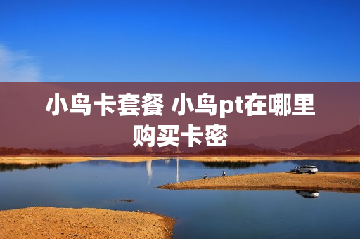 小鸟卡套餐 小鸟pt在哪里购买卡密