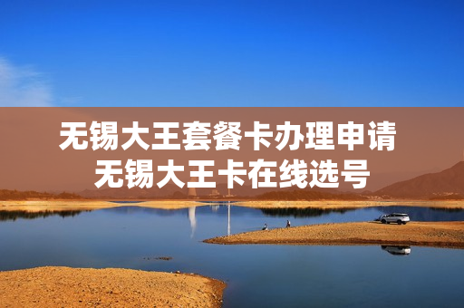 无锡大王套餐卡办理申请 无锡大王卡在线选号