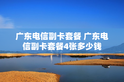 广东电信副卡套餐 广东电信副卡套餐4张多少钱