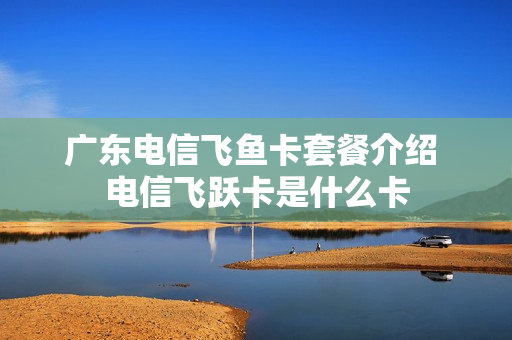 广东电信飞鱼卡套餐介绍 电信飞跃卡是什么卡