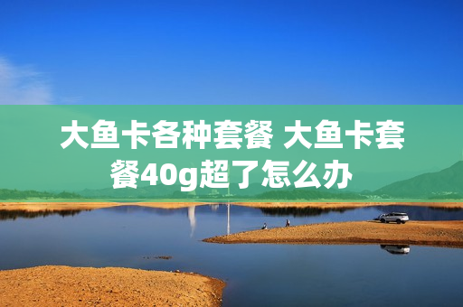 大鱼卡各种套餐 大鱼卡套餐40g超了怎么办