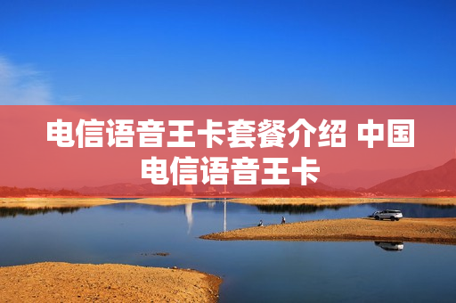 电信语音王卡套餐介绍 中国电信语音王卡