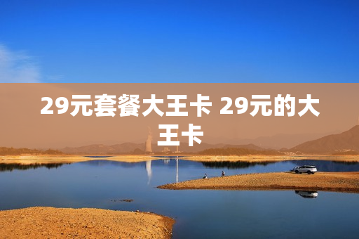 29元套餐大王卡 29元的大王卡