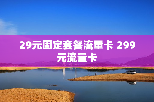 29元固定套餐流量卡 299元流量卡