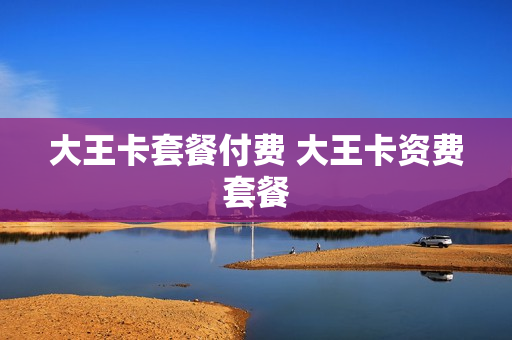 大王卡套餐付费 大王卡资费套餐