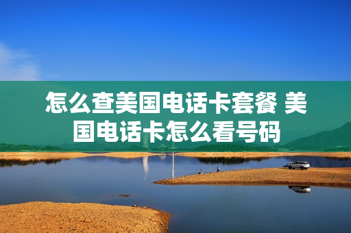 怎么查美国电话卡套餐 美国电话卡怎么看号码