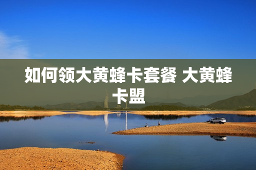 如何领大黄蜂卡套餐 大黄蜂卡盟