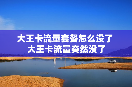 大王卡流量套餐怎么没了 大王卡流量突然没了