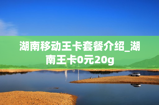 湖南移动王卡套餐介绍_湖南王卡0元20g
