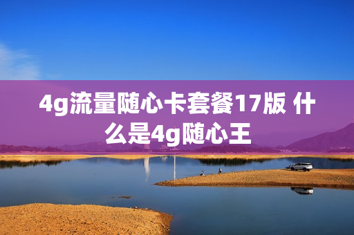 4g流量随心卡套餐17版 什么是4g随心王