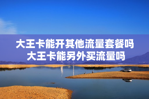 大王卡能开其他流量套餐吗 大王卡能另外买流量吗