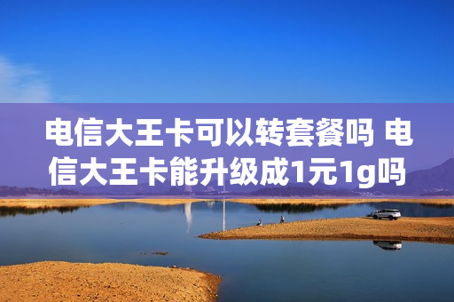 电信大王卡可以转套餐吗 电信大王卡能升级成1元1g吗