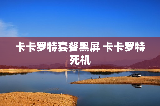 卡卡罗特套餐黑屏 卡卡罗特死机