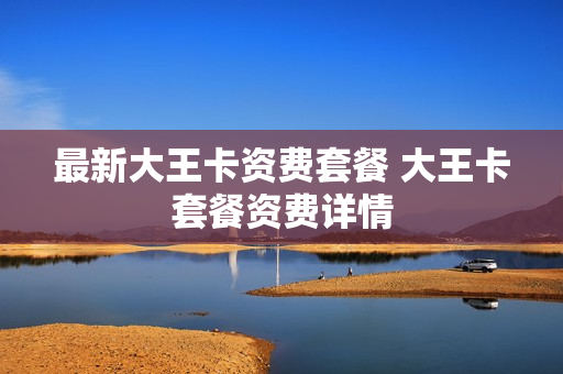 最新大王卡资费套餐 大王卡套餐资费详情