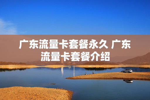 广东流量卡套餐永久 广东流量卡套餐介绍