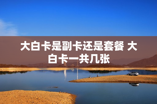 大白卡是副卡还是套餐 大白卡一共几张