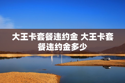大王卡套餐违约金 大王卡套餐违约金多少