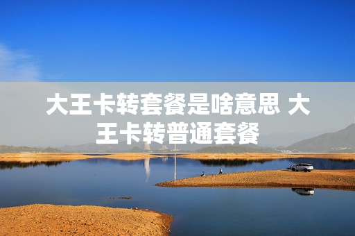 大王卡转套餐是啥意思 大王卡转普通套餐