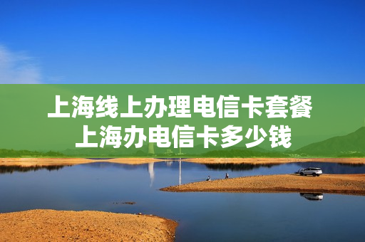 上海线上办理电信卡套餐 上海办电信卡多少钱