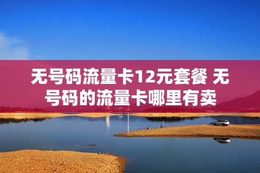 无号码流量卡12元套餐 无号码的流量卡哪里有卖