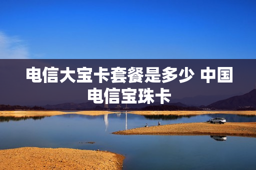 电信大宝卡套餐是多少 中国电信宝珠卡