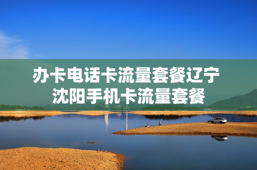办卡电话卡流量套餐辽宁 沈阳手机卡流量套餐