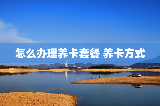 怎么办理养卡套餐 养卡方式
