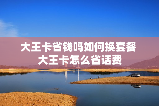 大王卡省钱吗如何换套餐 大王卡怎么省话费