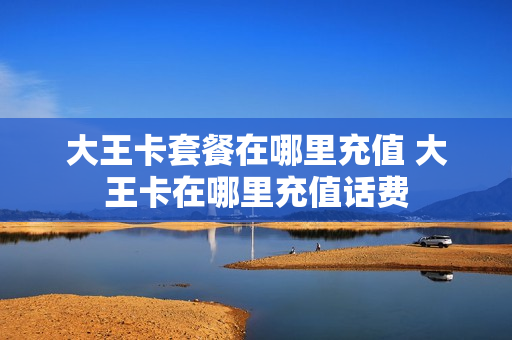 大王卡套餐在哪里充值 大王卡在哪里充值话费