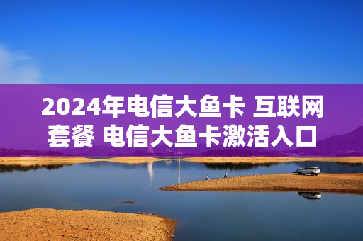 2024年电信大鱼卡 互联网套餐 电信大鱼卡激活入口