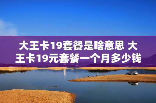 大王卡19套餐是啥意思 大王卡19元套餐一个月多少钱