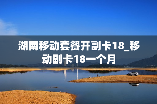 湖南移动套餐开副卡18_移动副卡18一个月