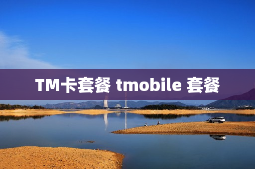 TM卡套餐 tmobile 套餐