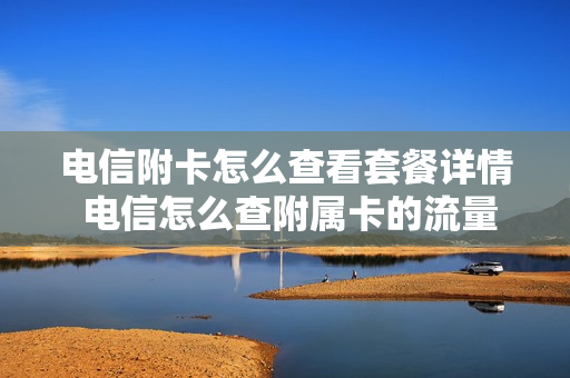 电信附卡怎么查看套餐详情 电信怎么查附属卡的流量