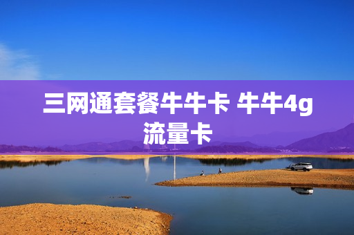 三网通套餐牛牛卡 牛牛4g流量卡